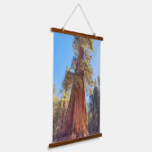 Giant Sequoia Wandteppich Mit Holzrahmen (Gewinkelt)