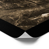 Giant Sequoia Wonder Foto 1915 Poster (Ecke)