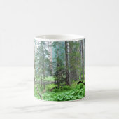 Giant Sequoias in Grant Grove, CA Kaffeetasse (Mittel)