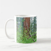Giant Sequoias in Grant Grove, CA Kaffeetasse (Links)