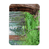 Giant Sequoias in Grant Grove, CA Magnet (Vertikal)