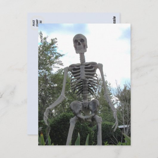 Giant Skeleton Halloween Postcard Postkarte (Vorne/Hinten)