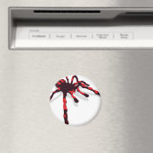 Giant Spider Magnet (In Situ (Geschirrspüler))