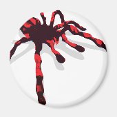 Giant Spider Magnet (Vorne)