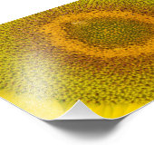 Giant Sunflower Fotodruck (Ecke)