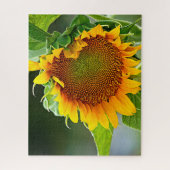 Giant Sunflower Puzzle (Vertikal)