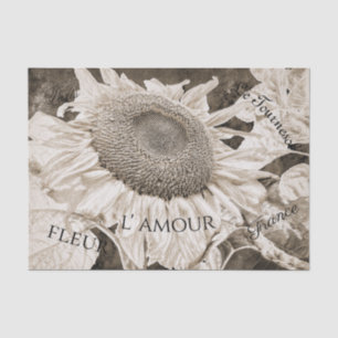 Giant Sunflowers Sepia Brown Texture Art Script Seidenpapier