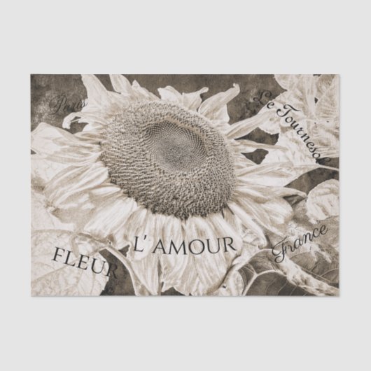 Giant Sunflowers Sepia Brown Texture Art Script Seidenpapier (Vorderseite)