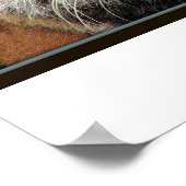 Giant Tiger Print Poster (Ecke)