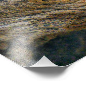 GIANT TORTOISE FOTODRUCK (Ecke)