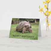 Giant Tortoise Grußkarte Karte (Gelbe Blume)