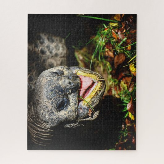 Giant Tortoise, Jigsaw Puzzle (Vertikal)