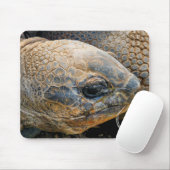 GIANT TORTOISE MOUSEPAD (Mit Mouse)
