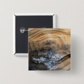 GIANT TORTOISE MUSCHEL BUTTON (Vorne & Hinten)