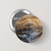 GIANT TORTOISE MUSCHEL BUTTON (Vorne & Hinten)