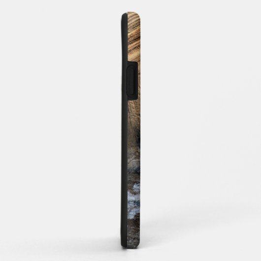 GIANT TORTOISE MUSCHEL Case-Mate iPhone HÜLLE (Hinten/Rechts)