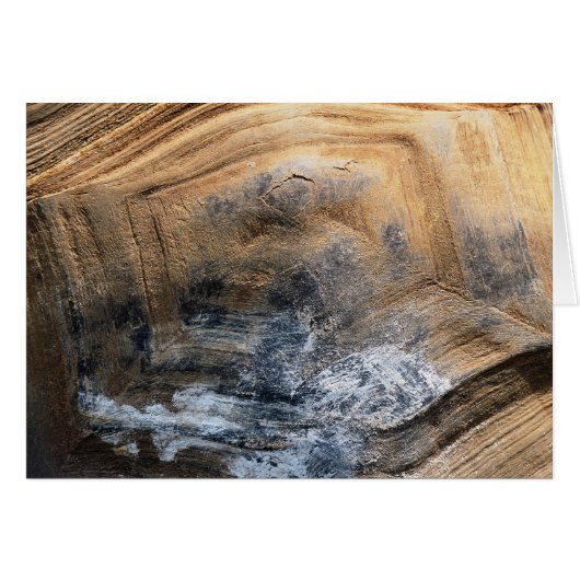 GIANT TORTOISE MUSCHEL GREETINGS CARD (Vorderseite (Horizontal))