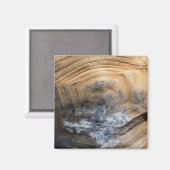 GIANT TORTOISE MUSCHEL MAGNET (Vorderseite/Rückseite)