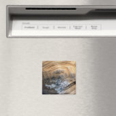 GIANT TORTOISE MUSCHEL MAGNET (In Situ (Geschirrspüler))