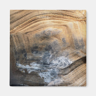 GIANT TORTOISE MUSCHEL MAGNET