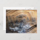 GIANT TORTOISE MUSCHEL POSTKARTE (Vorne/Hinten)