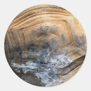 GIANT TORTOISE MUSCHEL RUNDER AUFKLEBER