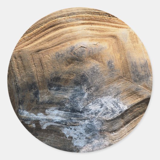 GIANT TORTOISE MUSCHEL RUNDER AUFKLEBER (Vorderseite)