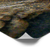 GIANT TORTOISE POSTER (Ecke)