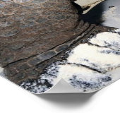 Giant Tortoise Poster (Ecke)