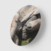 Giant Tortoises Art Fotografie Runde Wanduhr (Winkel)