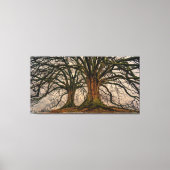 Giant Trees Canvas Print Leinwanddruck (Vorderseite)