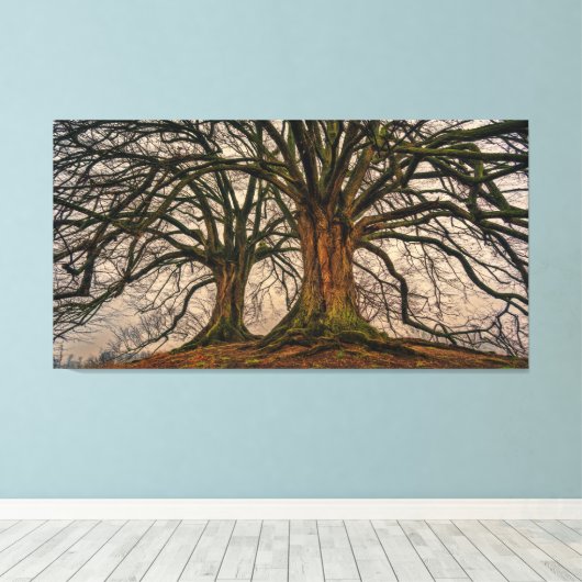 Giant Trees Canvas Print Leinwanddruck (Insitu (Holzboden))