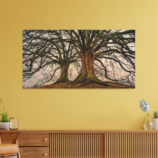 Giant Trees Canvas Print Leinwanddruck (Insitu (Wohnzimmer))