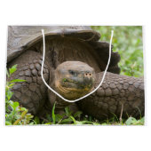 Giant turtle große geschenktüte (Vorderseite)