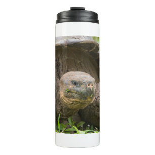 Giant turtle thermosbecher