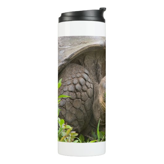 Giant turtle thermosbecher (Nach links gedreht)