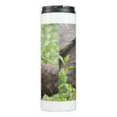 Giant turtle thermosbecher (Rückseite)