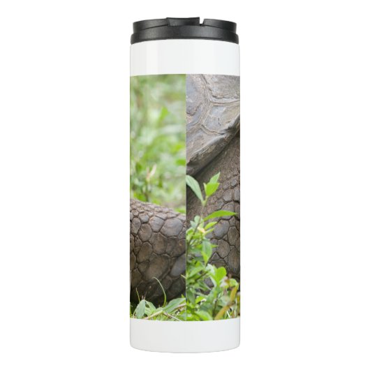 Giant turtle thermosbecher (Rückseite)