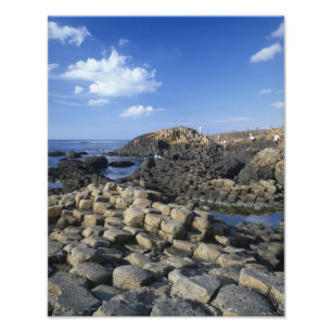 Giants Causeway, County Antrim, Nordirland Fotodruck
