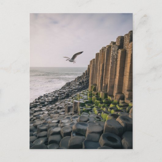 Giants Causeway Feiertagspostkarte (Vorderseite)