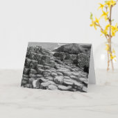 Giant's Causeway Grußkarte Karte (Gelbe Blume)