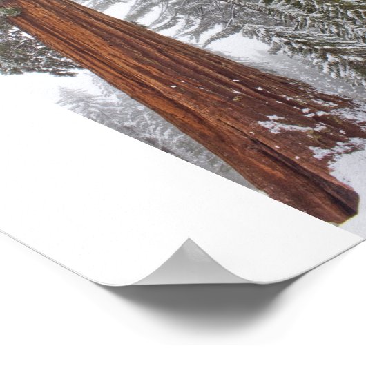 Giants II Poster (Ecke)