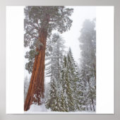 Giants II Poster (Vorne)