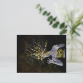 GIAWIL Gold Nummer Postkarte (Stehend Vorderseite)