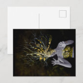 GIAWIL Gold Nummer Postkarte (Vorne/Hinten)