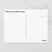 "Gib bei der Einlegen in die Schachtel nicht auf S Postkarte (Rückseite)