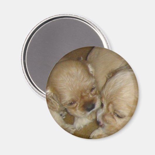 Gib mir einen Kuss Magnet (Vorderseite/Rückseite)