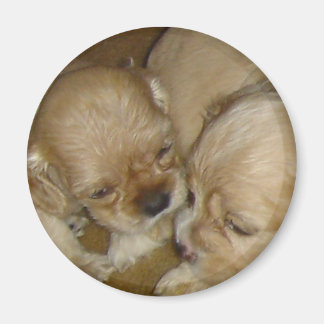 Gib mir einen Kuss Magnet