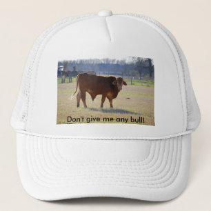 Gib mir keinen Stier! Truckerkappe
