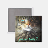 Gib mir Purrs? Magnet (Vorderseite/Rückseite)